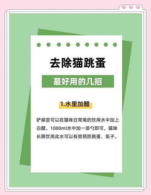 猫身上跳蚤怎么彻底去除