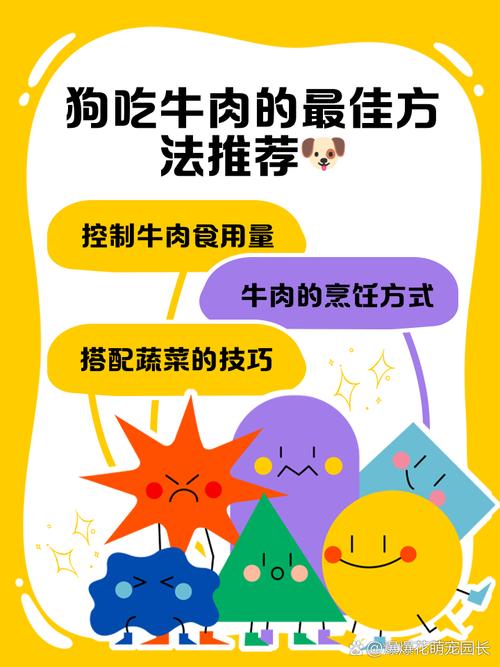 狗狗吃牛肉好吗