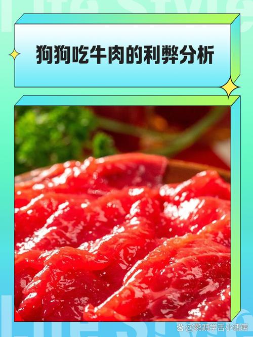 如何煮牛肉给狗狗吃
