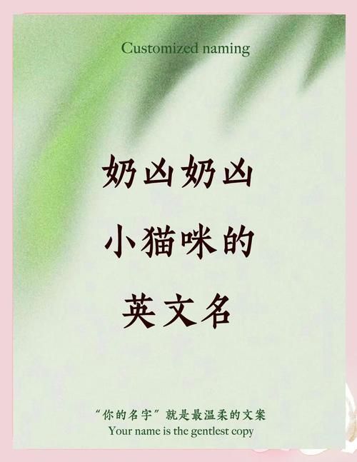 猫咪名字可爱洋气英文