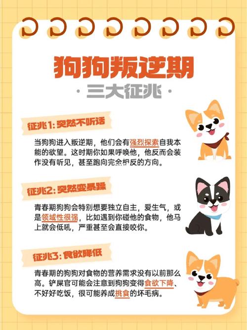 狗狗叛逆期多长