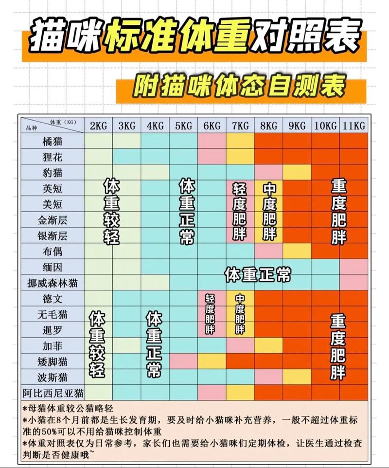 成年猫的体重大概在多少啊?