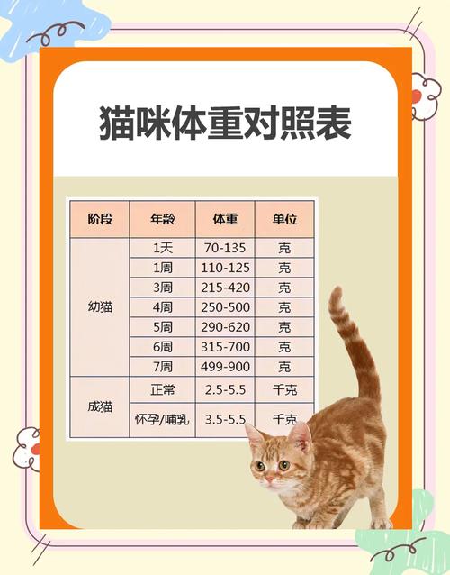 猫体重年龄对照表