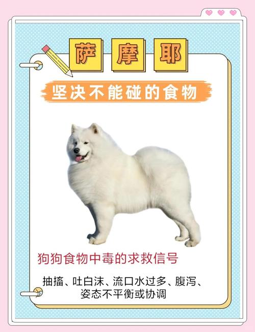 萨摩耶不能吃的20种食物