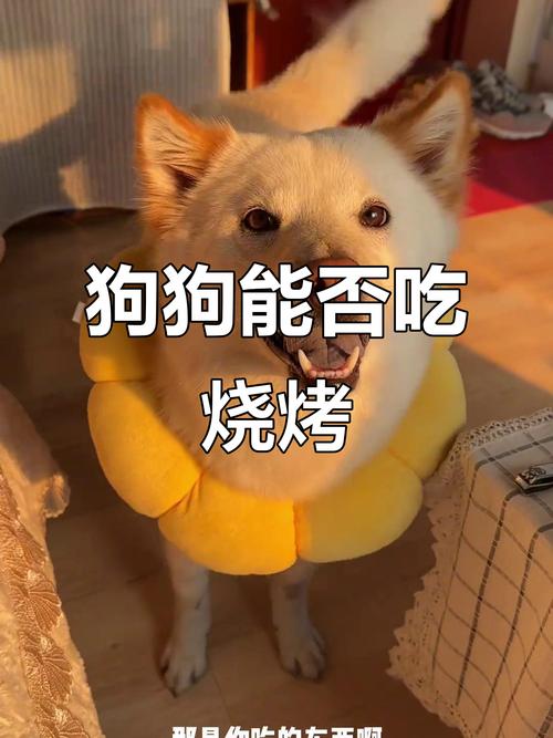 狗狗吃烧烤会吐吗为什么