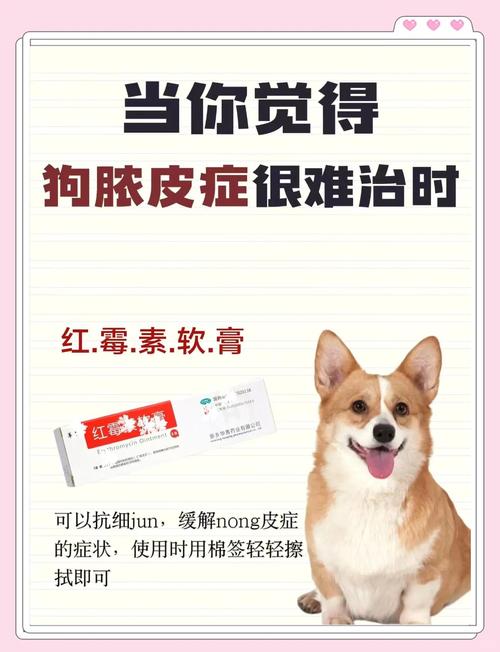 狗狗脓皮病的治疗方法