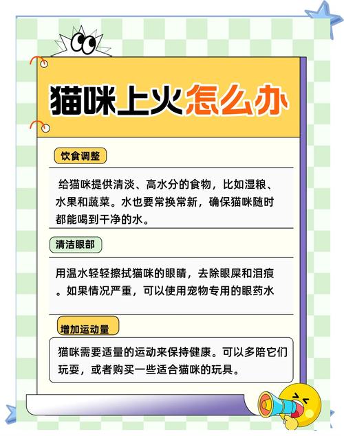 猫咪上火了怎么办
