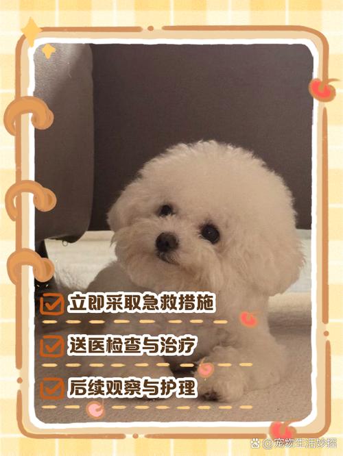 狗狗吃了蟑螂药怎么办