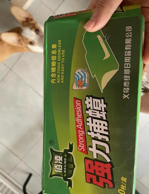 小狗吃了蟑螂药怎么办,可是现在一点症状都没有,就是撒口水。求求大家...