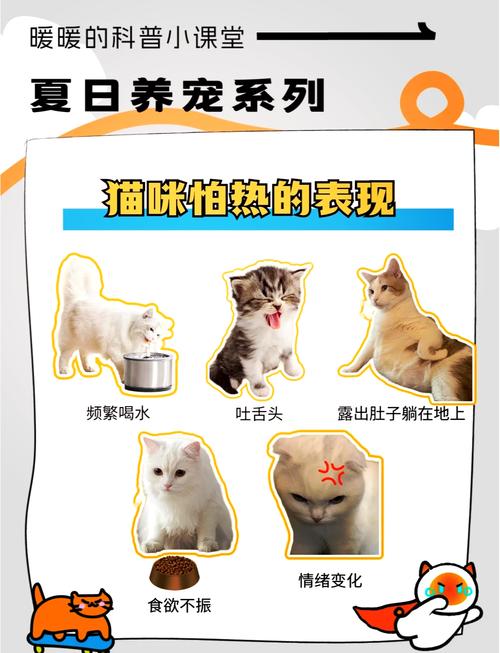 猫热的一直吐舌头怎么办