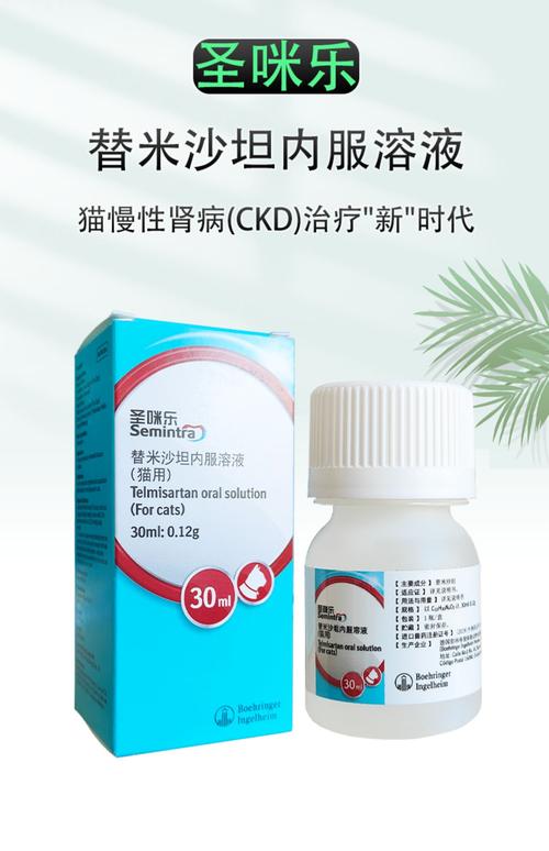 猫尿血吃什么药