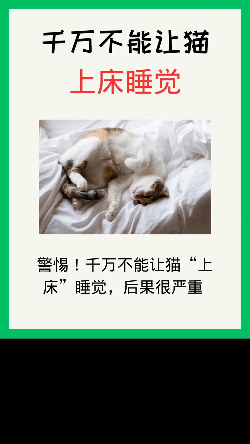 猫放在床上会不会不卫生啊?