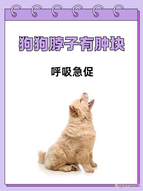 狗狗为什么脖子疼