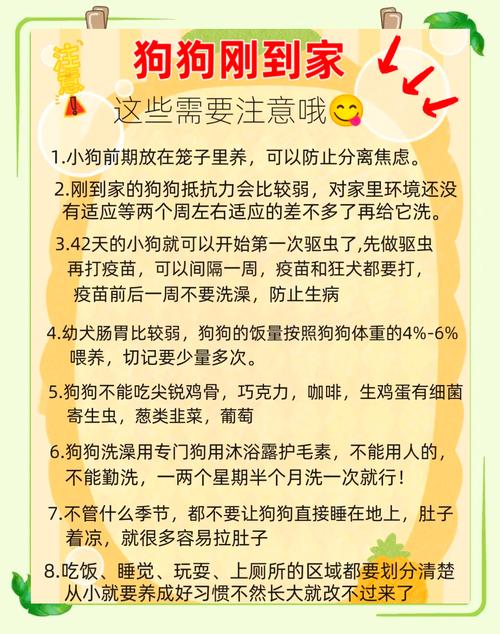 狗狗刚到家需要做什么