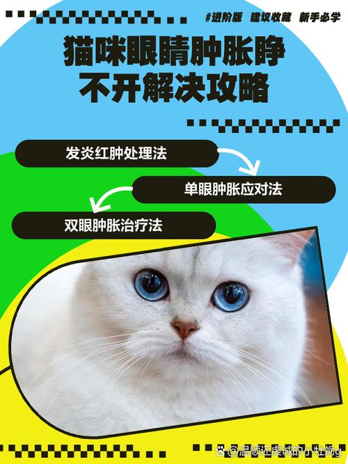 猫咪眼睛肿了睁不开怎么办