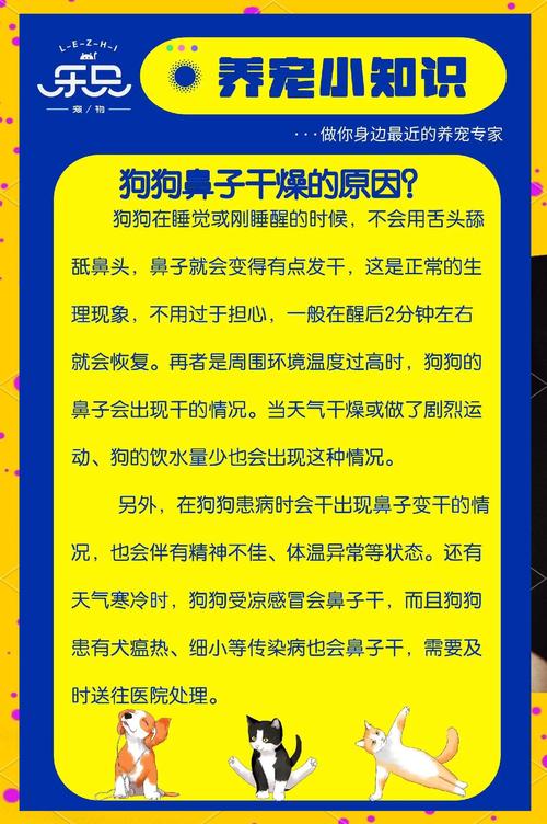 狗鼻子干燥开裂怎么办