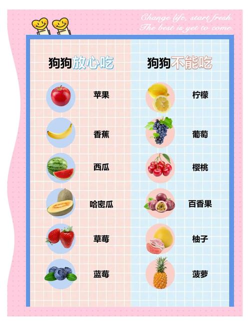 狗狗忌吃什么水果?