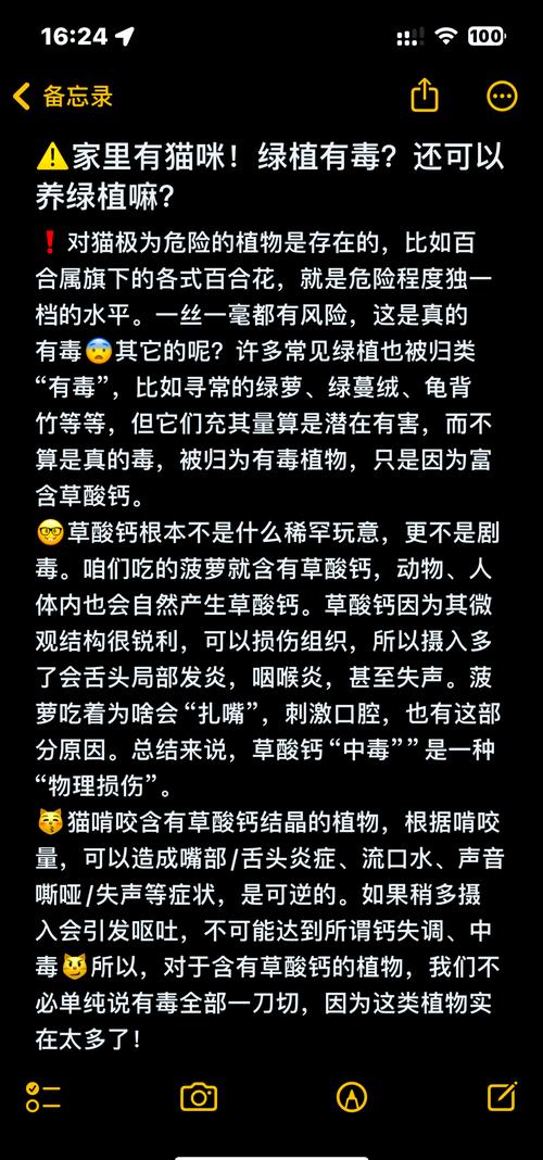 绿萝是否对猫有毒,猫能不能闻绿萝