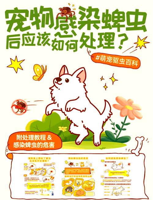 狗狗身上蜱虫怎么处理