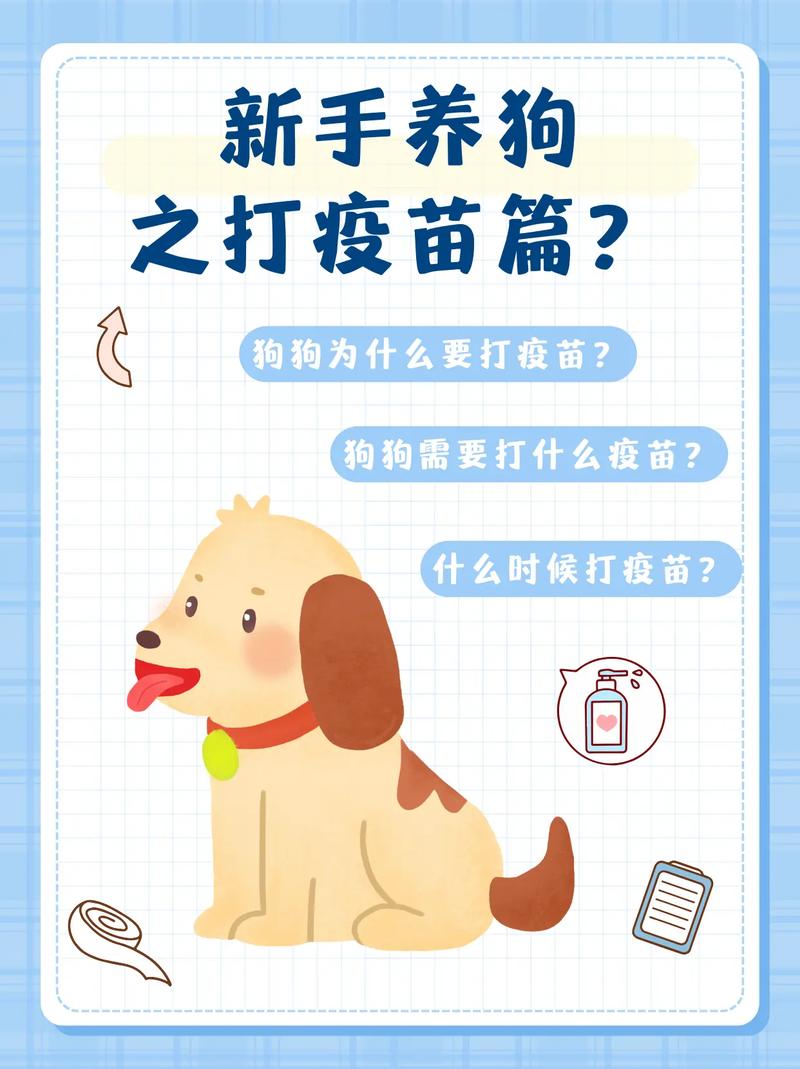 现在养狗必须打疫苗吗?新手一定要了解!