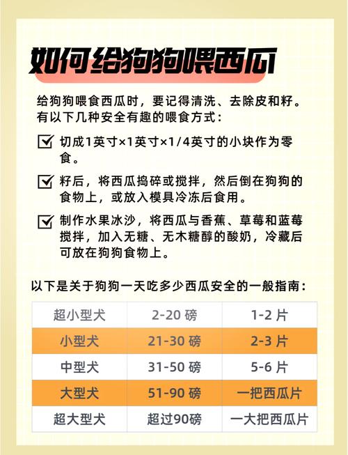 狗可以吃西瓜吗