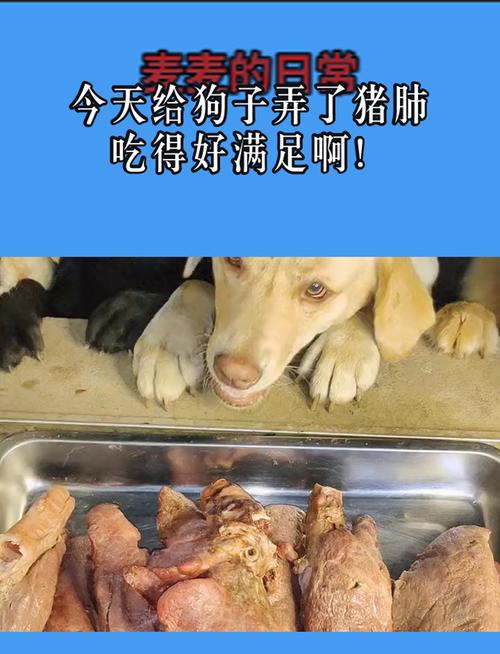 狗长期吃猪肺的坏处