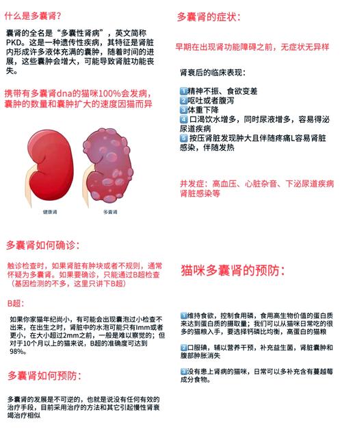 猫多囊肾能活多久