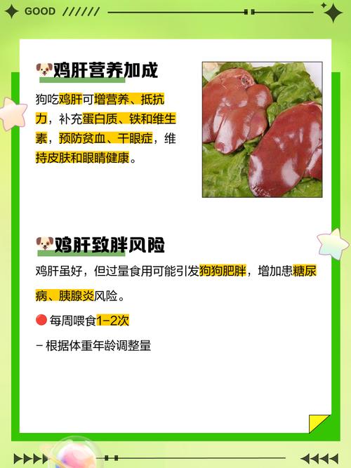 狗狗吃鸡肝好处和坏处