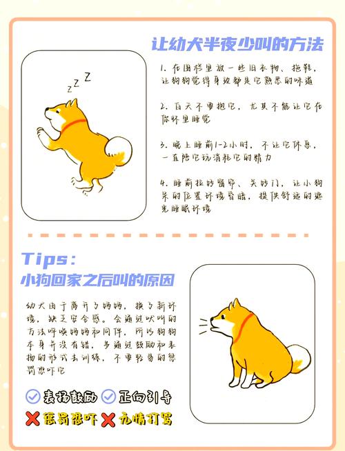 怎样让狗狗不叫