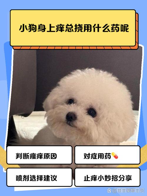 小狗身上痒总挠用什么药呢