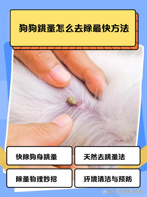怎样把狗狗身上的跳蚤清除干净?