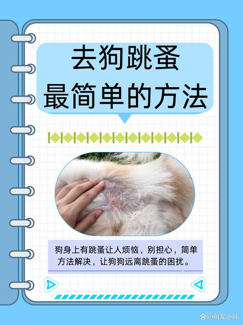 怎样除掉小狗身上的跳蚤?