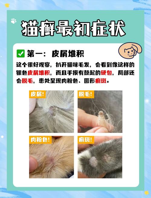 猫咪奶癣一般多久消失