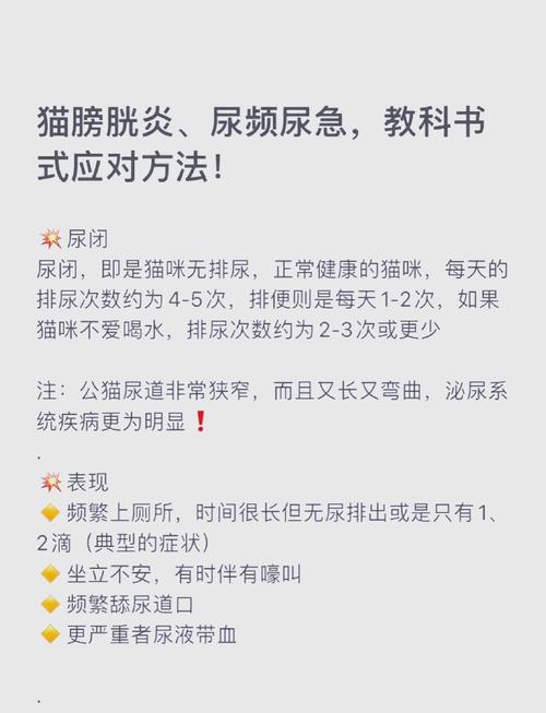 猫膀胱炎症状是什么症状