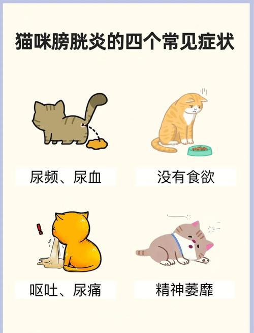 猫自发性膀胱炎症状