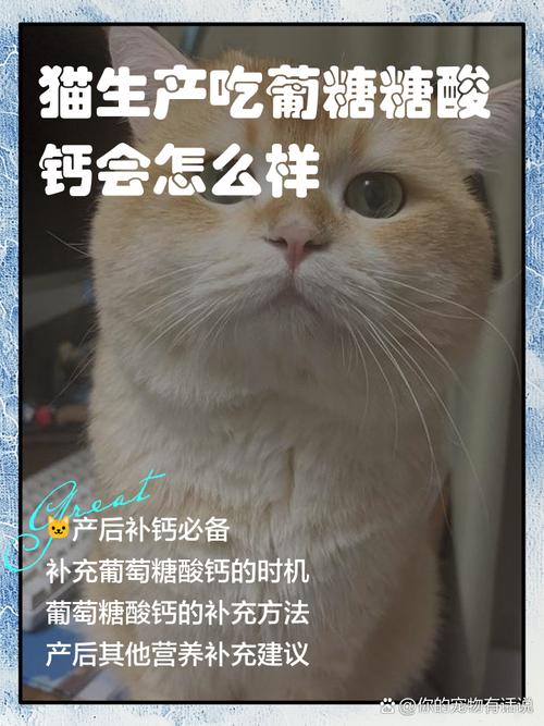 猫咪喝葡萄糖酸钙死了