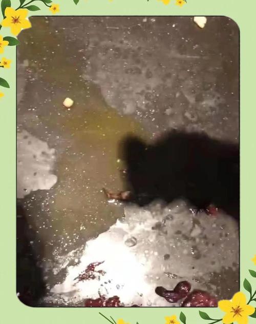 为什么猫喂葡萄糖反而加快其死亡?