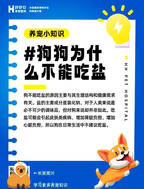 狗狗喝一点盐水会死吗