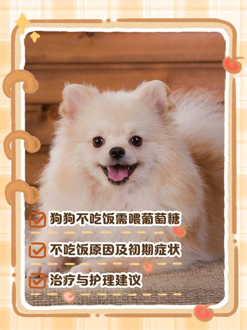 怎么给狗狗喂葡萄糖