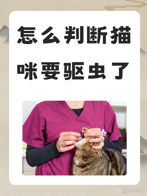 怎么判断猫要不要驱虫