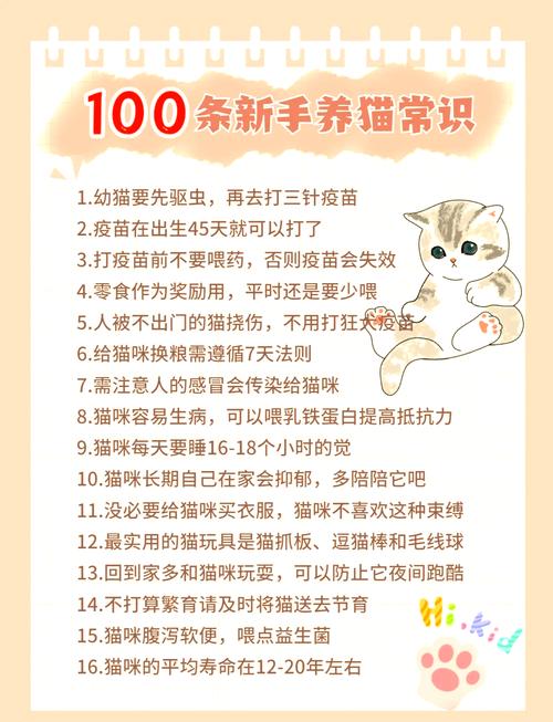我刚领养了8个月的猫咪!怎么样才能让它适应我这个新主人?并且对我比较...