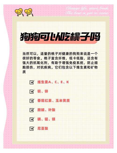 泰迪把桃核吃了怎么办