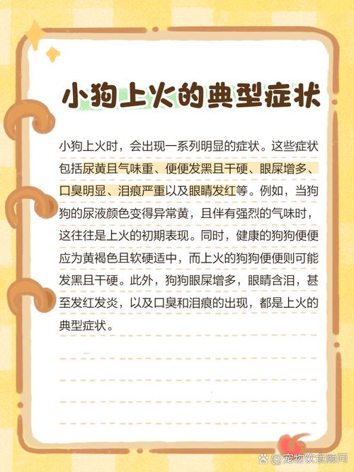 狗狗上火了吃什么降火狗狗上火怎么办最有效