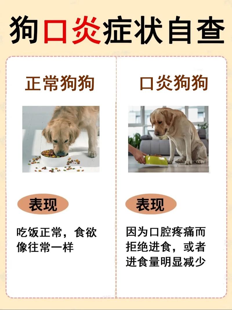 狗狗上火什么症状