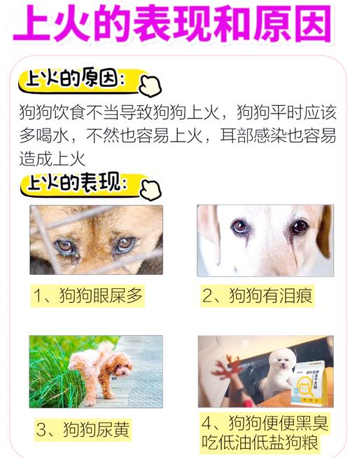 狗狗最严重的上火症状