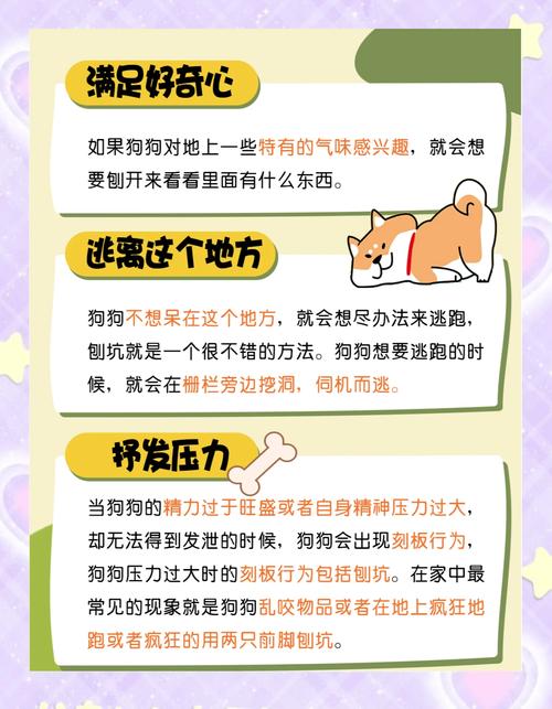 狗刨坑为什么视为不祥之兆