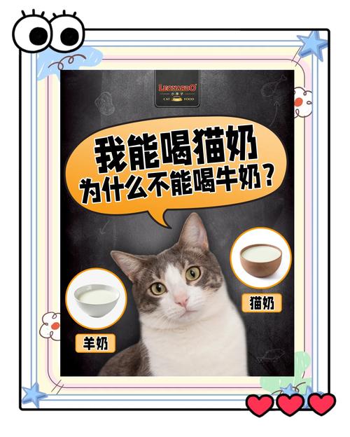 猫咪喝牛奶会死吗