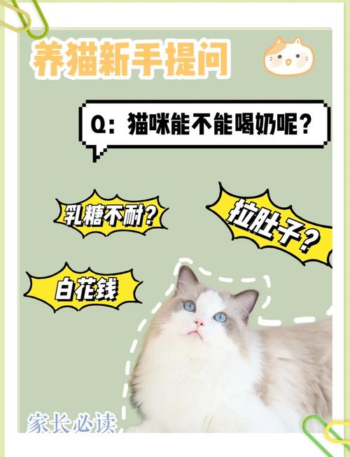 猫咪多大才开始可以喝牛奶了