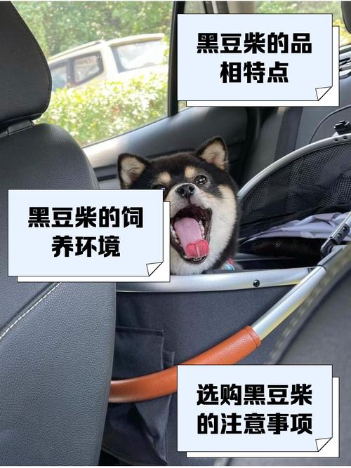 狗狗可以喝黑豆黑芝麻黑米吗?