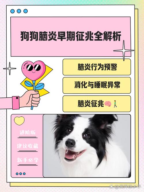 狗狗为什么会突然得脑炎